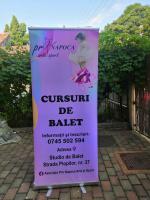 Rollup personalizat pentru balet